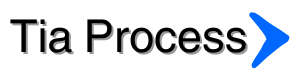 Logo de l'entreprise Tia Process spécialisée dans l'optimisation des flux de travail et dans l'intégration de l'intelligence artificielle au sein des entreprises. Tia process est une entreprise basé à Tahiti.
